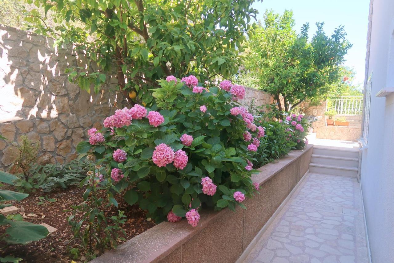 Cvita Apartments Trogir Exterior photo